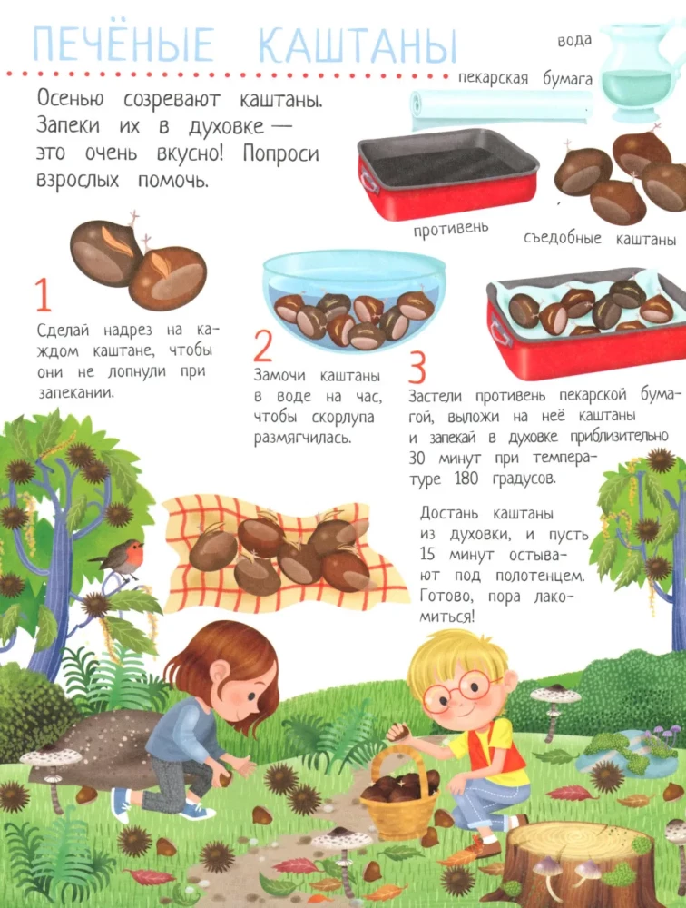 Your Home Harvest: A Book of Ideas and Fun