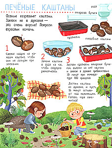 Your Home Harvest: A Book of Ideas and Fun