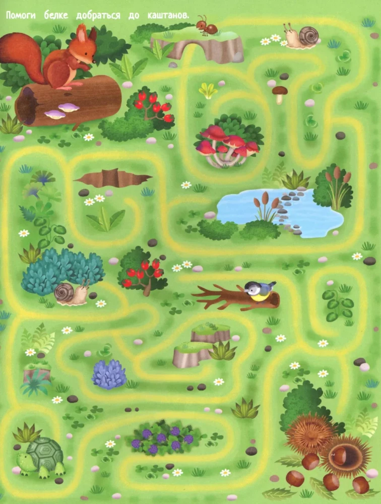 Your Home Harvest: A Book of Ideas and Fun