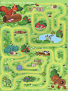 Your Home Harvest: A Book of Ideas and Fun