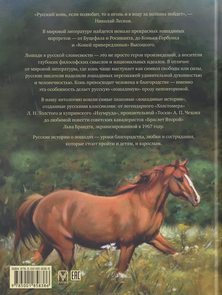 Лучшие истории о лошадях. Рыжие, гнедые, вороные…