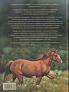 Лучшие истории о лошадях. Рыжие, гнедые, вороные…