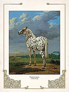 Лучшие истории о лошадях. Рыжие, гнедые, вороные…