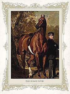 Лучшие истории о лошадях. Рыжие, гнедые, вороные…