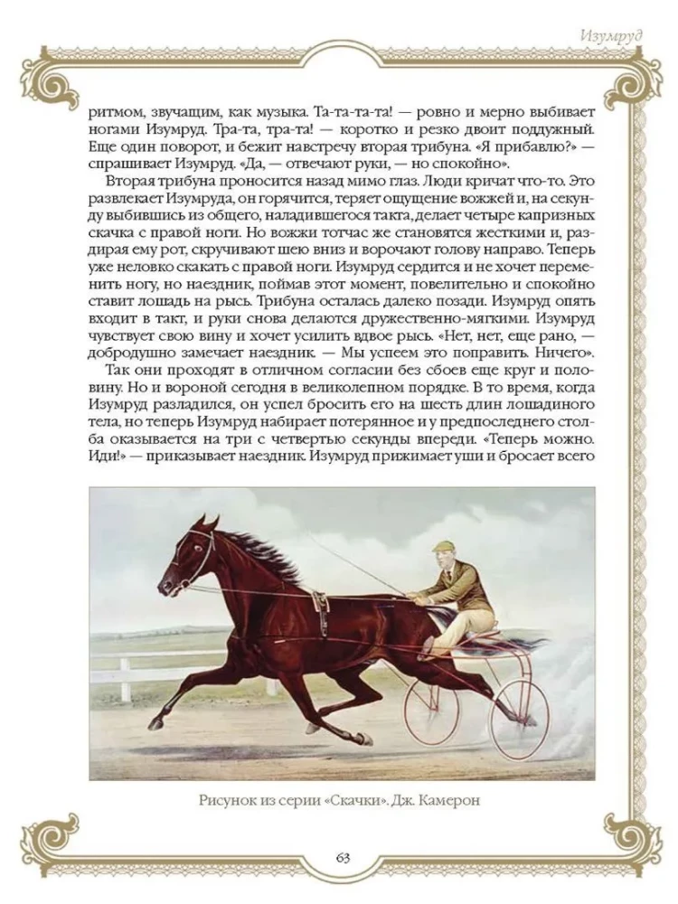 Лучшие истории о лошадях. Рыжие, гнедые, вороные…