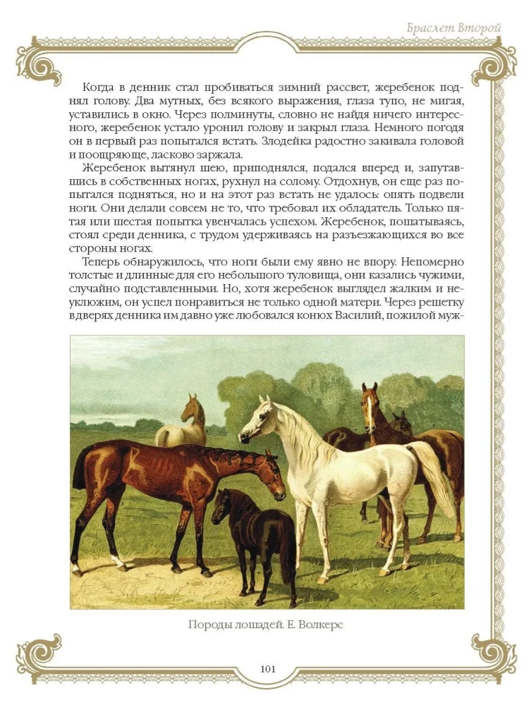 Лучшие истории о лошадях. Рыжие, гнедые, вороные…