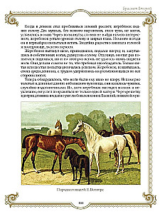 Лучшие истории о лошадях. Рыжие, гнедые, вороные…