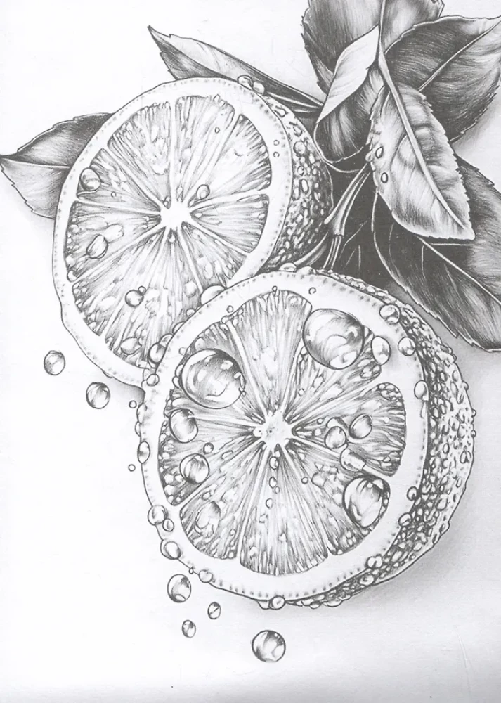 Mano eskizai pradedantiesiems. Estetika. 15 eskizų šešėliavimui