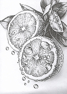 Mano eskizai pradedantiesiems. Estetika. 15 eskizų šešėliavimui