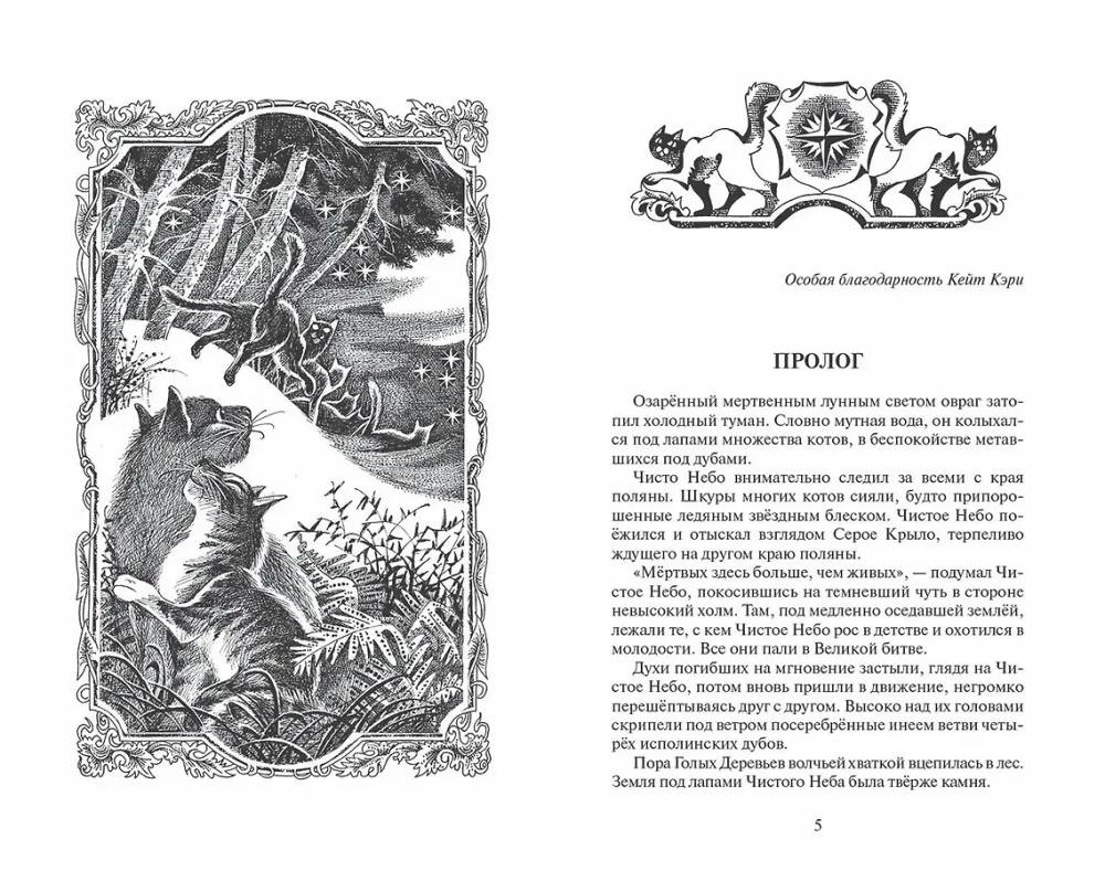 Warriors: The Beginning of the Clans. Time of Choice