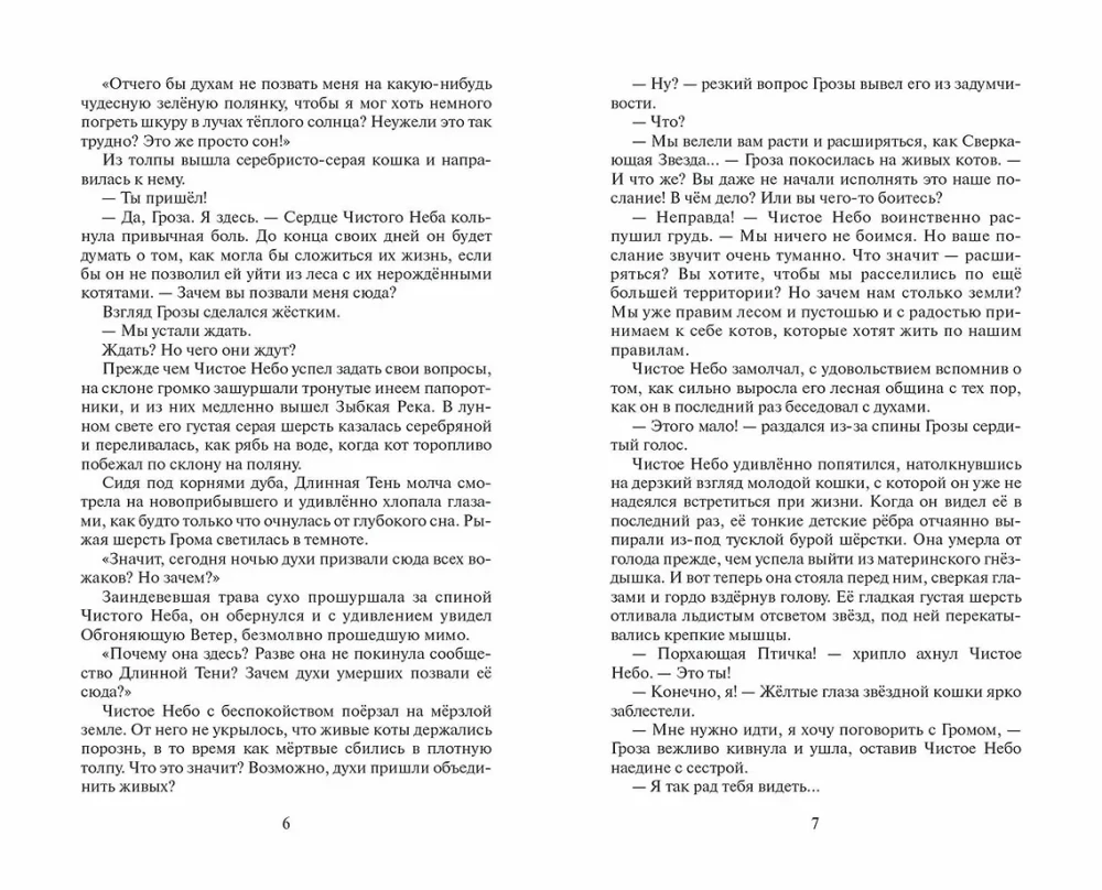 Warriors: The Beginning of the Clans. Time of Choice