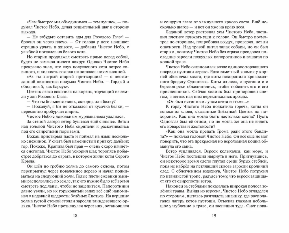 Warriors: The Beginning of the Clans. Time of Choice