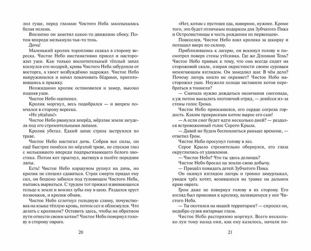 Warriors: The Beginning of the Clans. Time of Choice