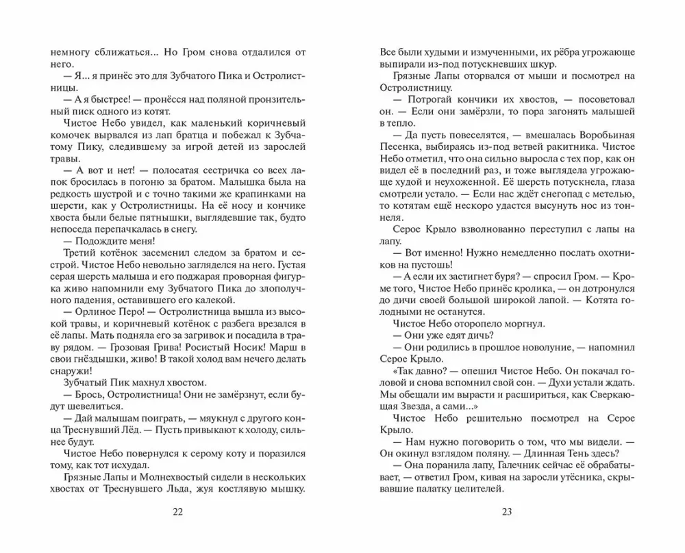 Warriors: The Beginning of the Clans. Time of Choice