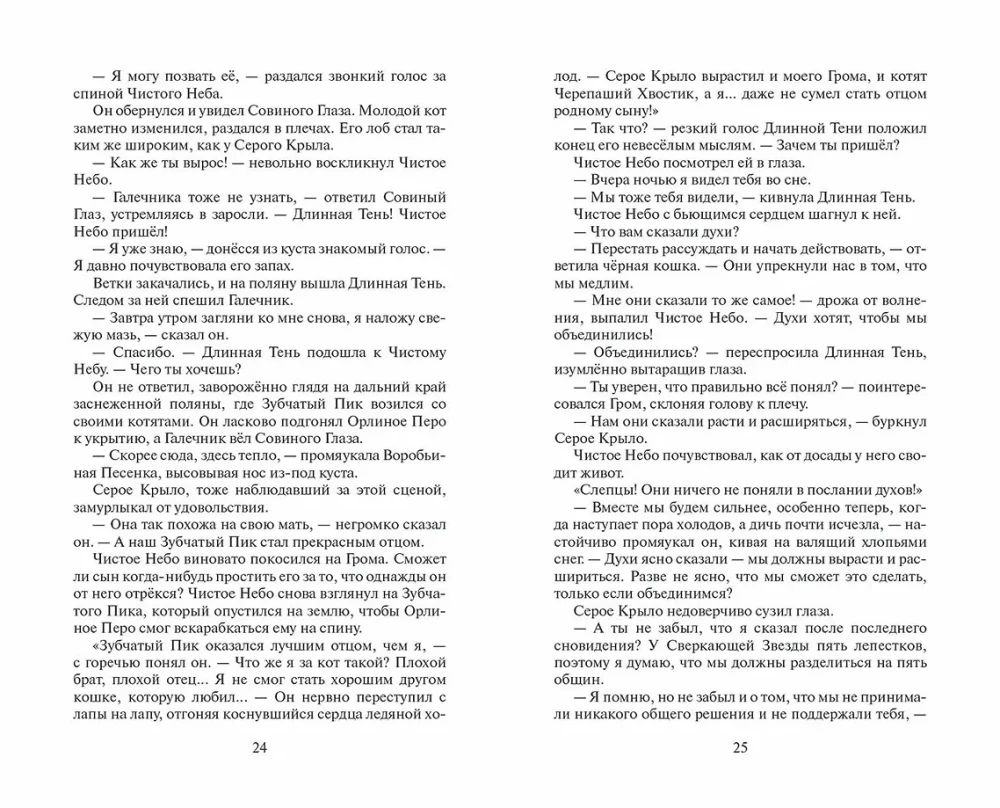 Warriors: The Beginning of the Clans. Time of Choice