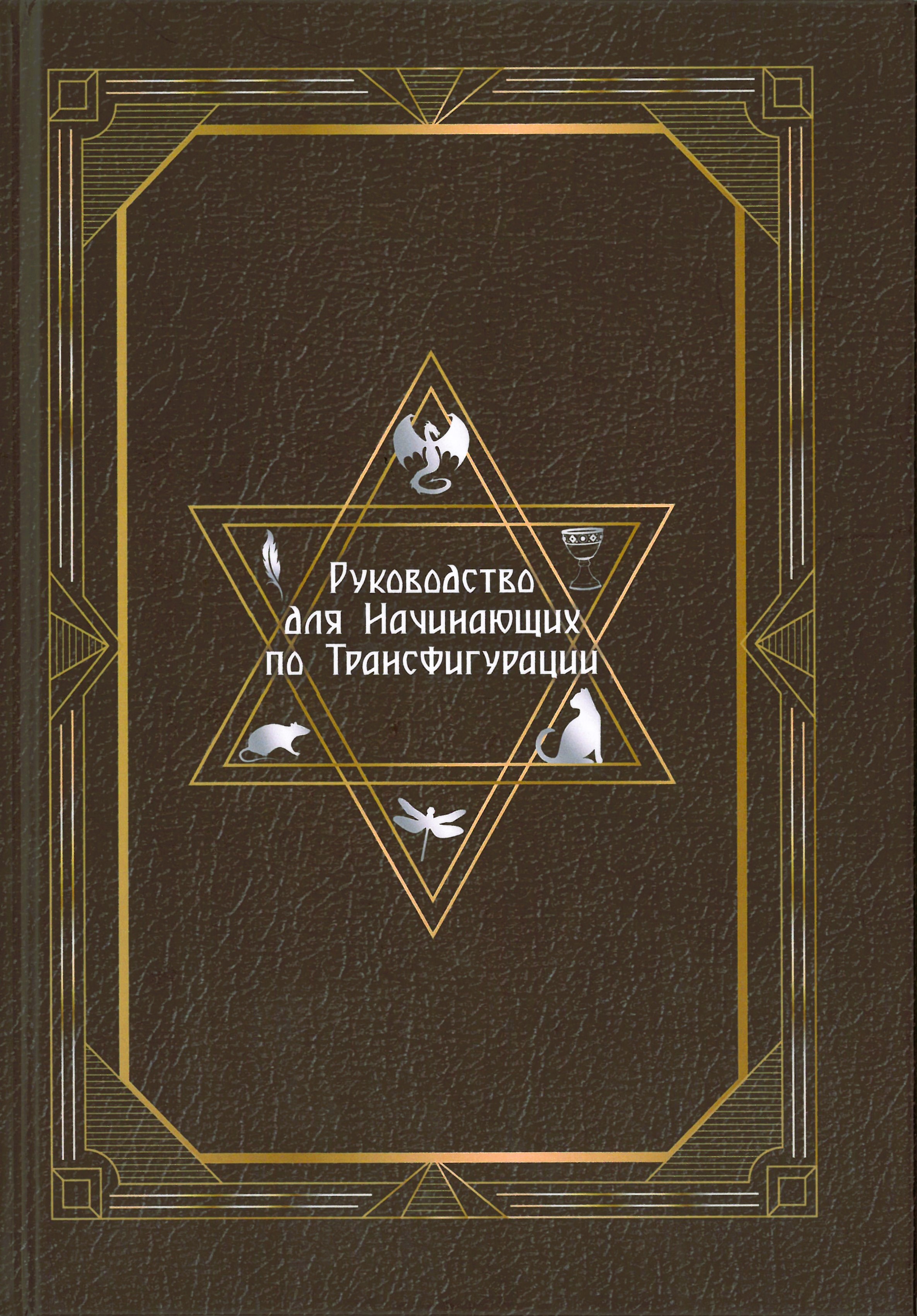 A Beginner's Guide to Transfiguration