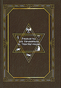 Руководство для начинающих по Трансфигурации