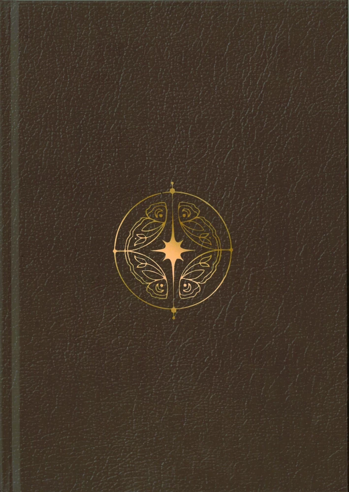 Руководство для начинающих по Трансфигурации