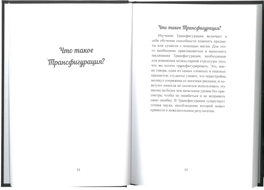 Руководство для начинающих по Трансфигурации