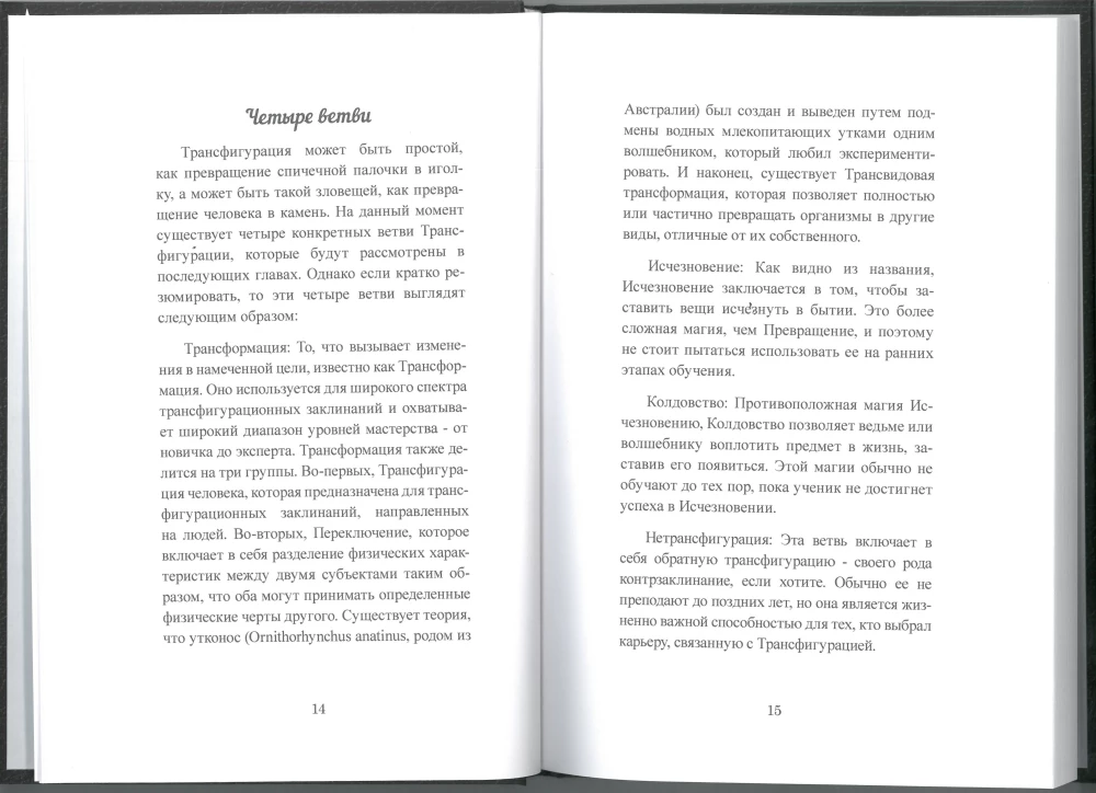 Руководство для начинающих по Трансфигурации