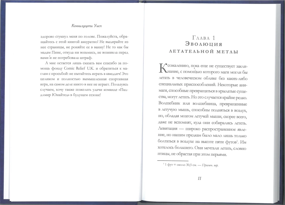 Гарри Поттер. Квиддич с древности до наших дней