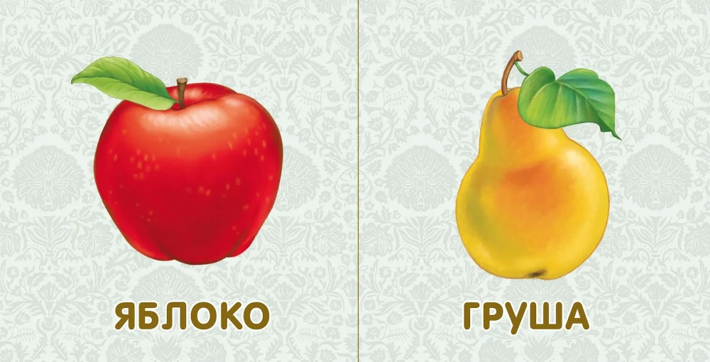 Board Books. Fruits and Vegetables