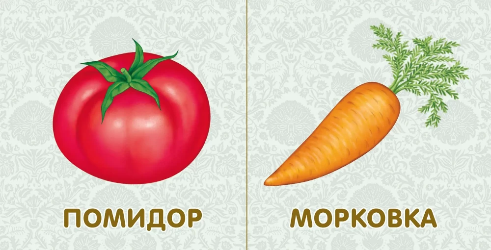Board Books. Fruits and Vegetables