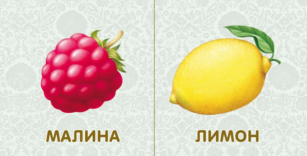 Board Books. Fruits and Vegetables