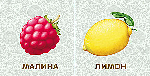 Board Books. Fruits and Vegetables