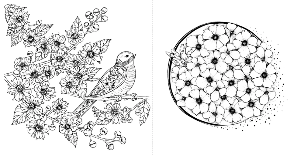 My Spring Walk: Coloring Book