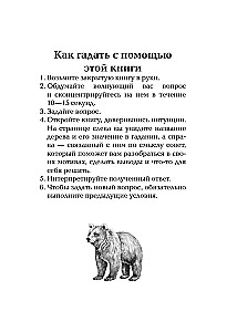 The Oracle of Berendei