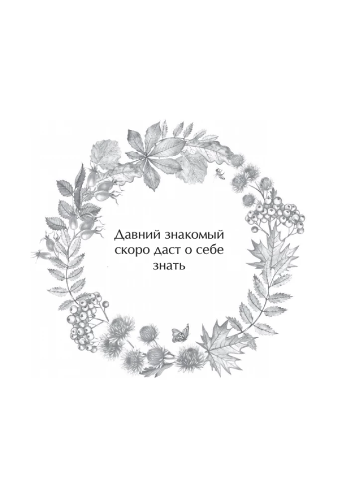 The Oracle of Berendei