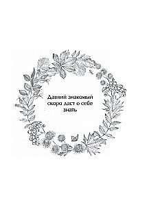 The Oracle of Berendei