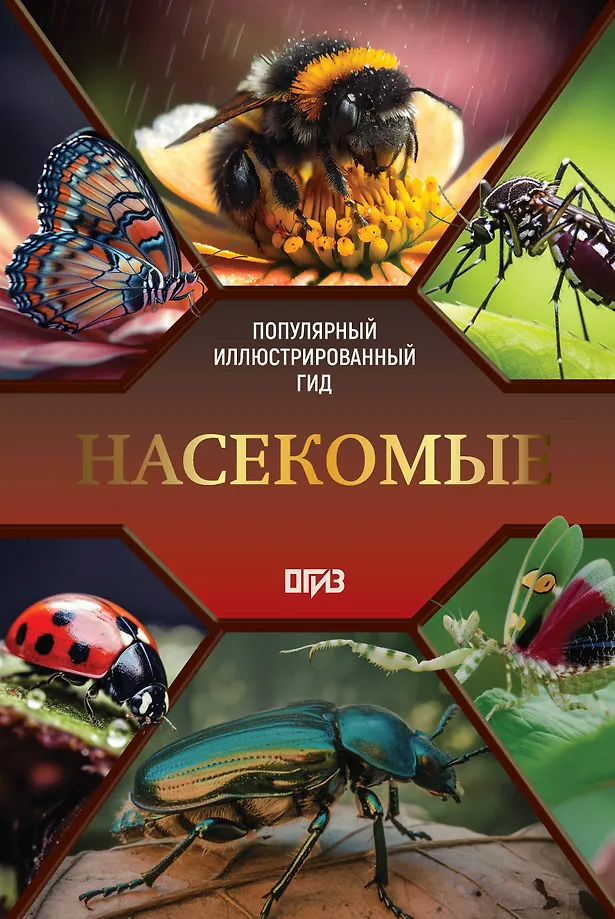 Insects. Illustrated Guide