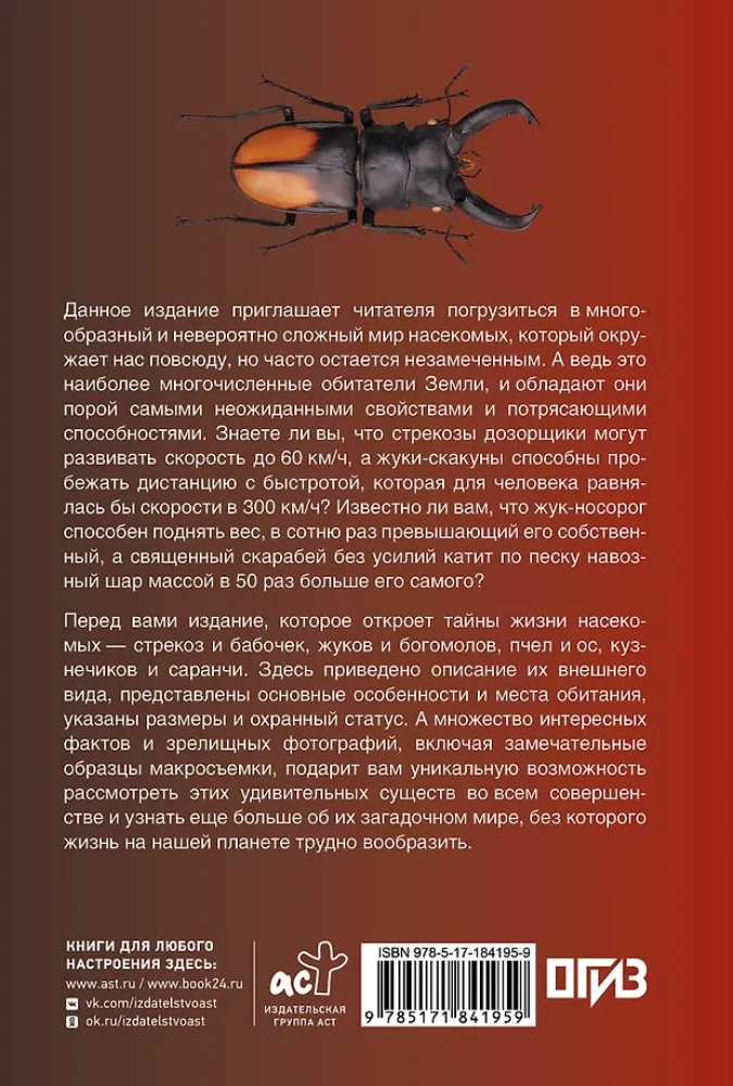 Insects. Illustrated Guide