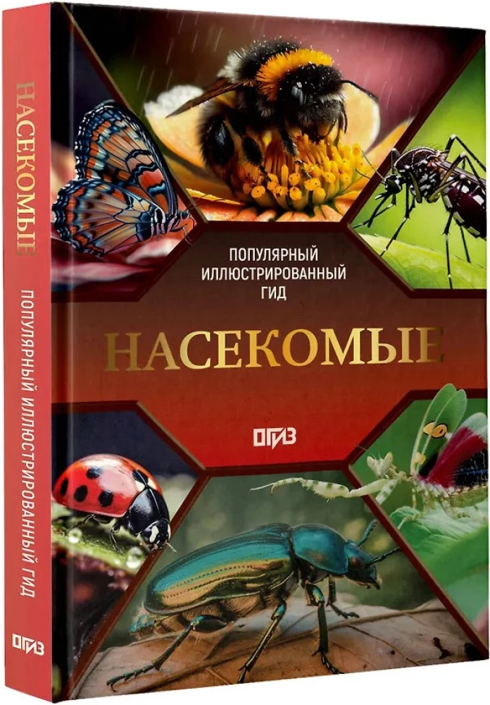 Insects. Illustrated Guide