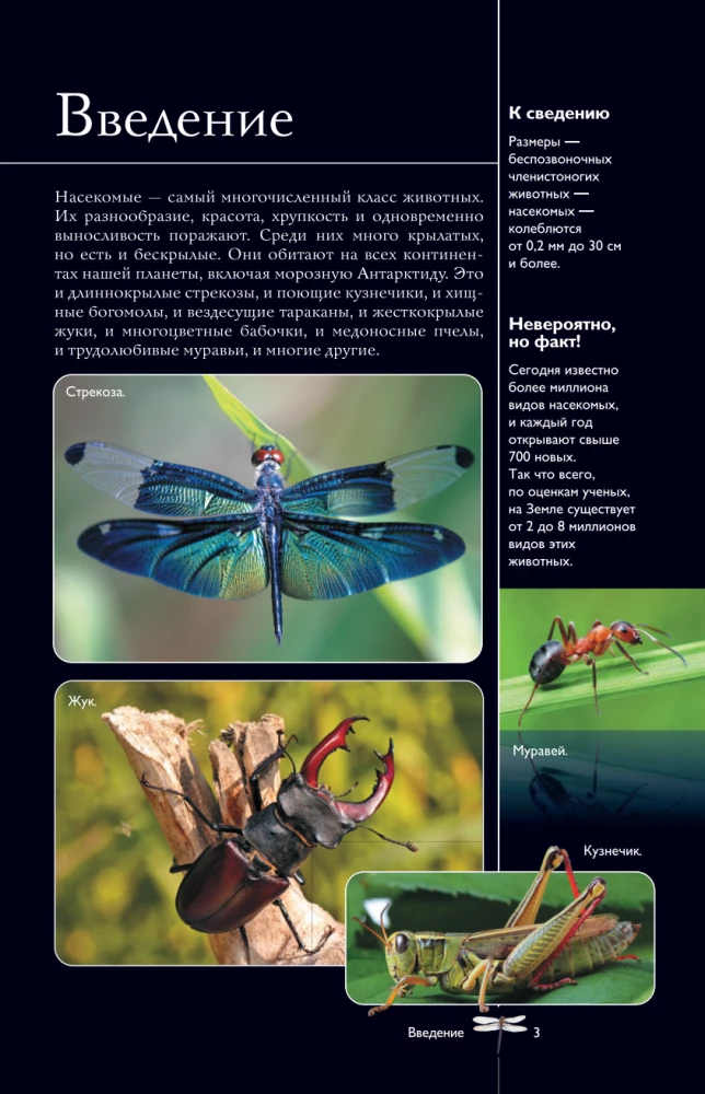 Insects. Illustrated Guide