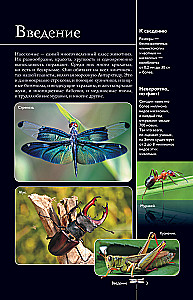 Insects. Illustrated Guide