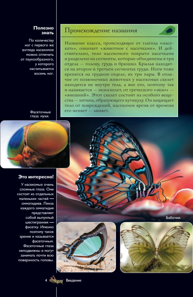 Insects. Illustrated Guide