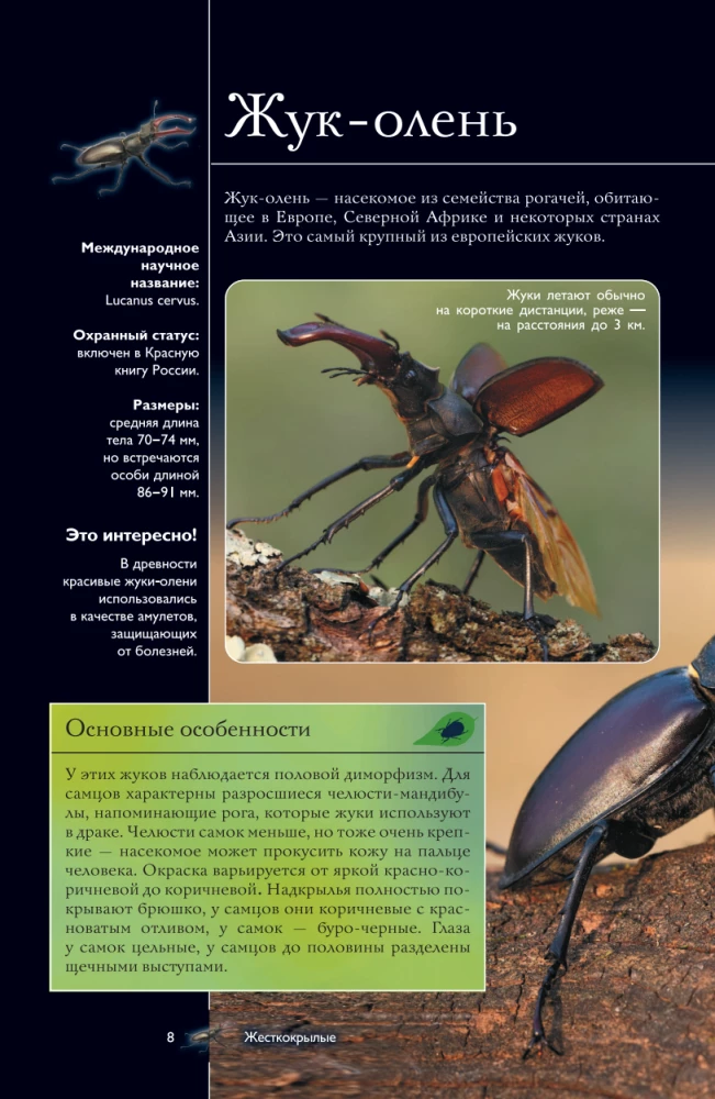 Insects. Illustrated Guide