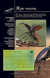 Insects. Illustrated Guide