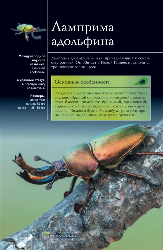 Insects. Illustrated Guide