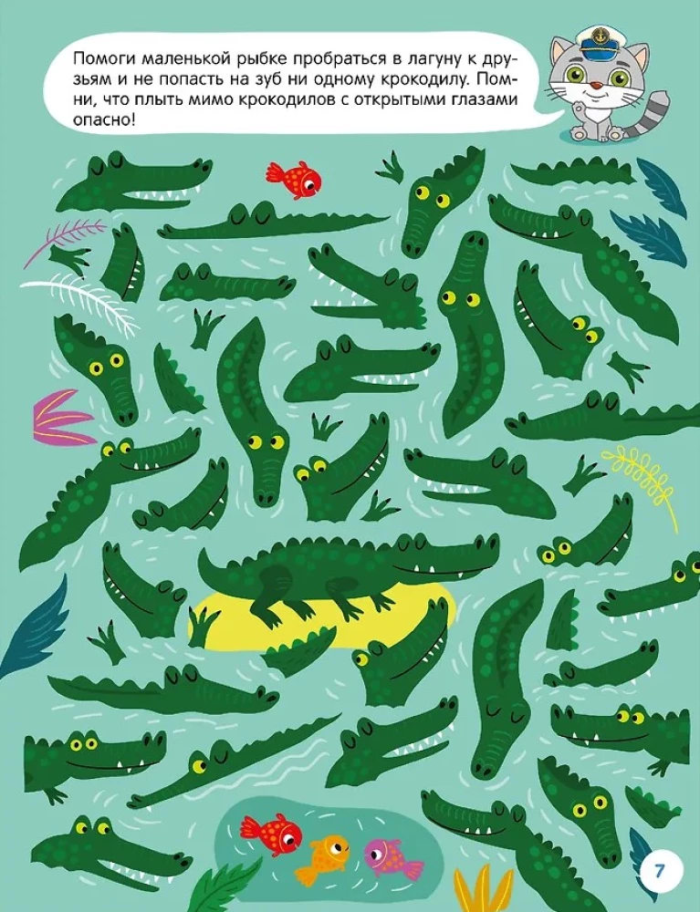 Fun Activities. Playing with a Kitten