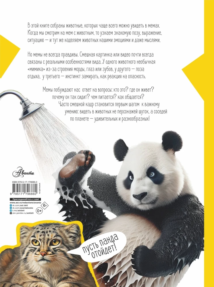 Capybara and Other Meme Animals