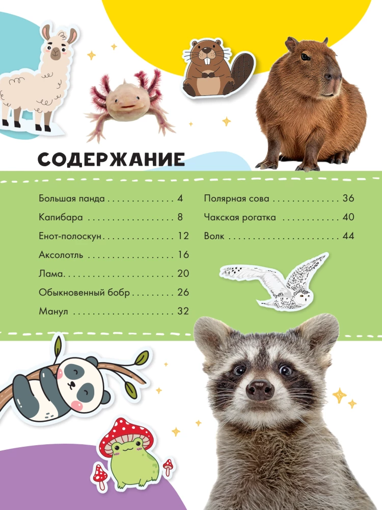 Capybara and Other Meme Animals