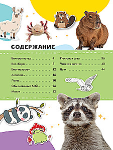 Capybara and Other Meme Animals