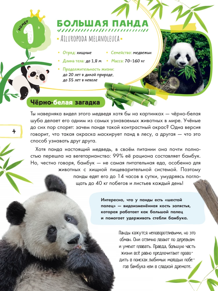 Capybara and Other Meme Animals