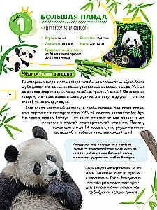 Capybara and Other Meme Animals