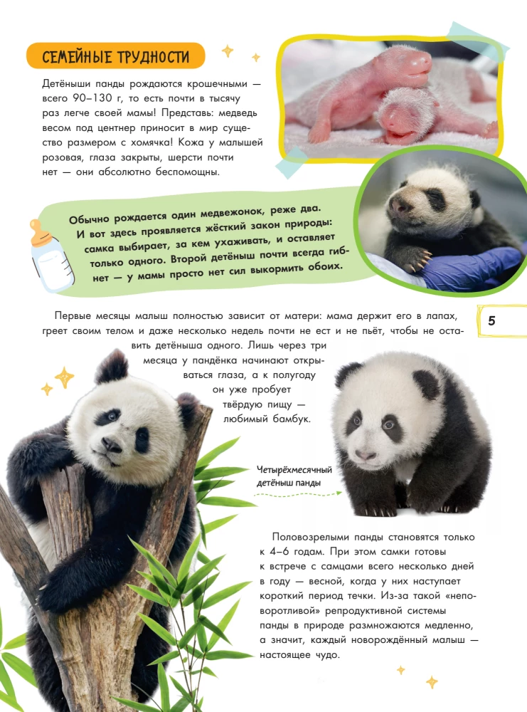 Capybara and Other Meme Animals