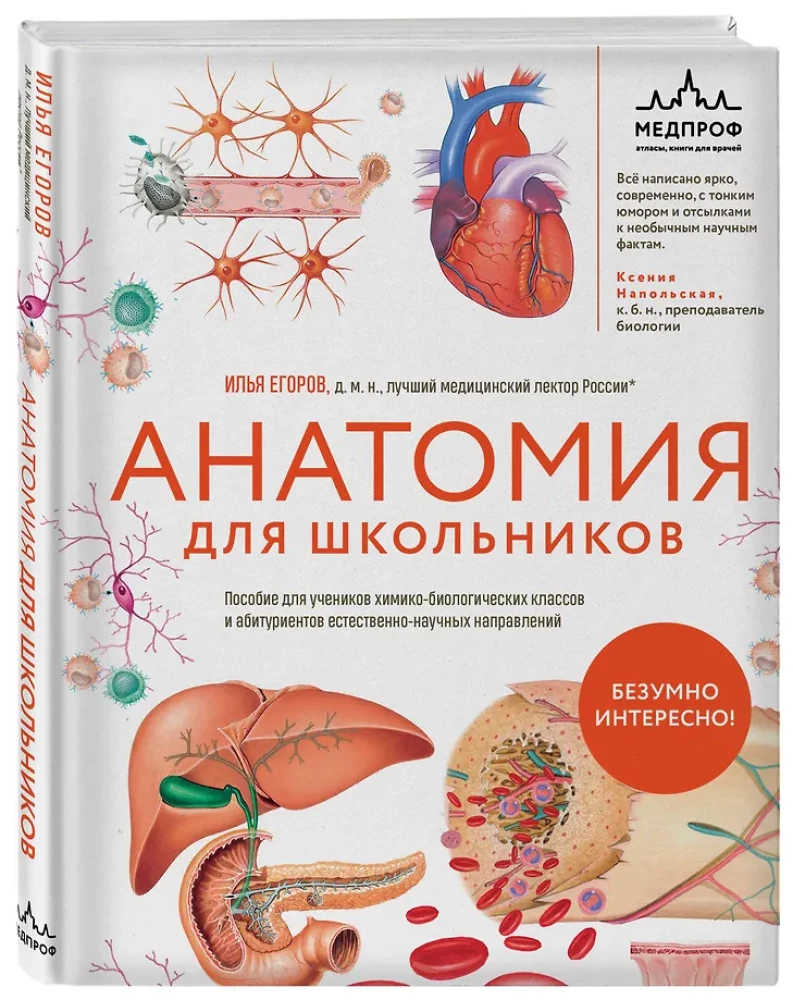 Anatomija skolēniem. Palīdzība ķīmijas un bioloģijas klašu skolēniem un dabaszinātņu virzienu studentiem